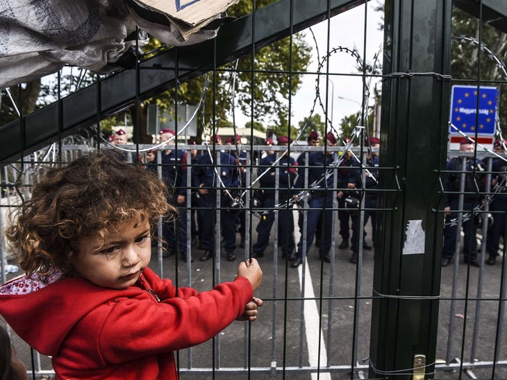 Hungary takes tough measures at border with Serbia - ảnh 1